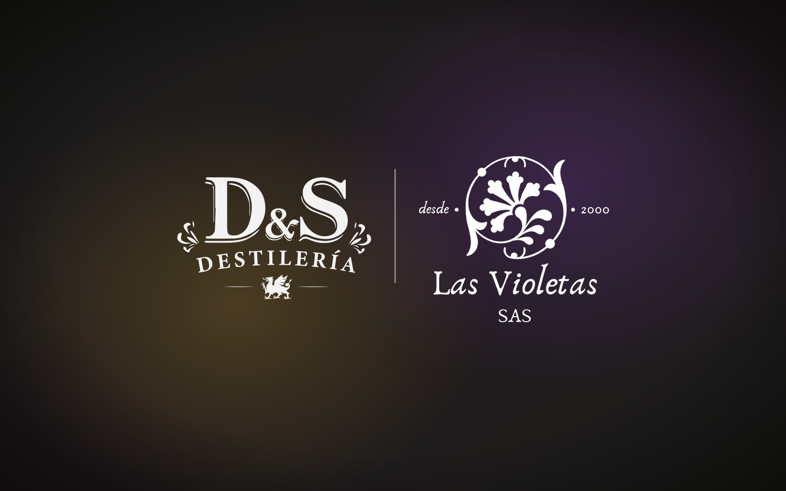 Así nació Destilería D&S, el nuevo proyecto de Las Violetas S.A.S.